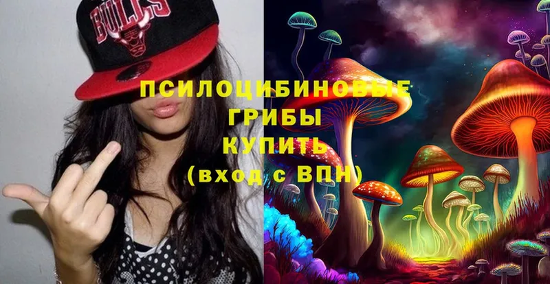 Псилоцибиновые грибы Cubensis  KRAKEN ССЫЛКА  Красновишерск 